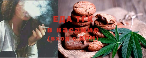 стафф Аркадак