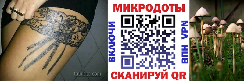 Псилоцибиновые грибы Cubensis  даркнет сайт  Белинский 